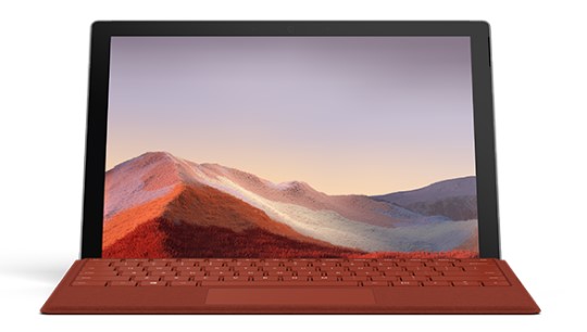 郊区清洁和维护 Surface